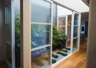indoor light plants