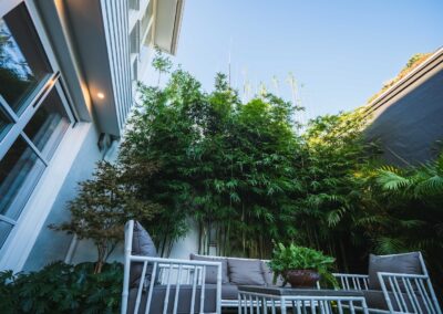 bamboo courtyard