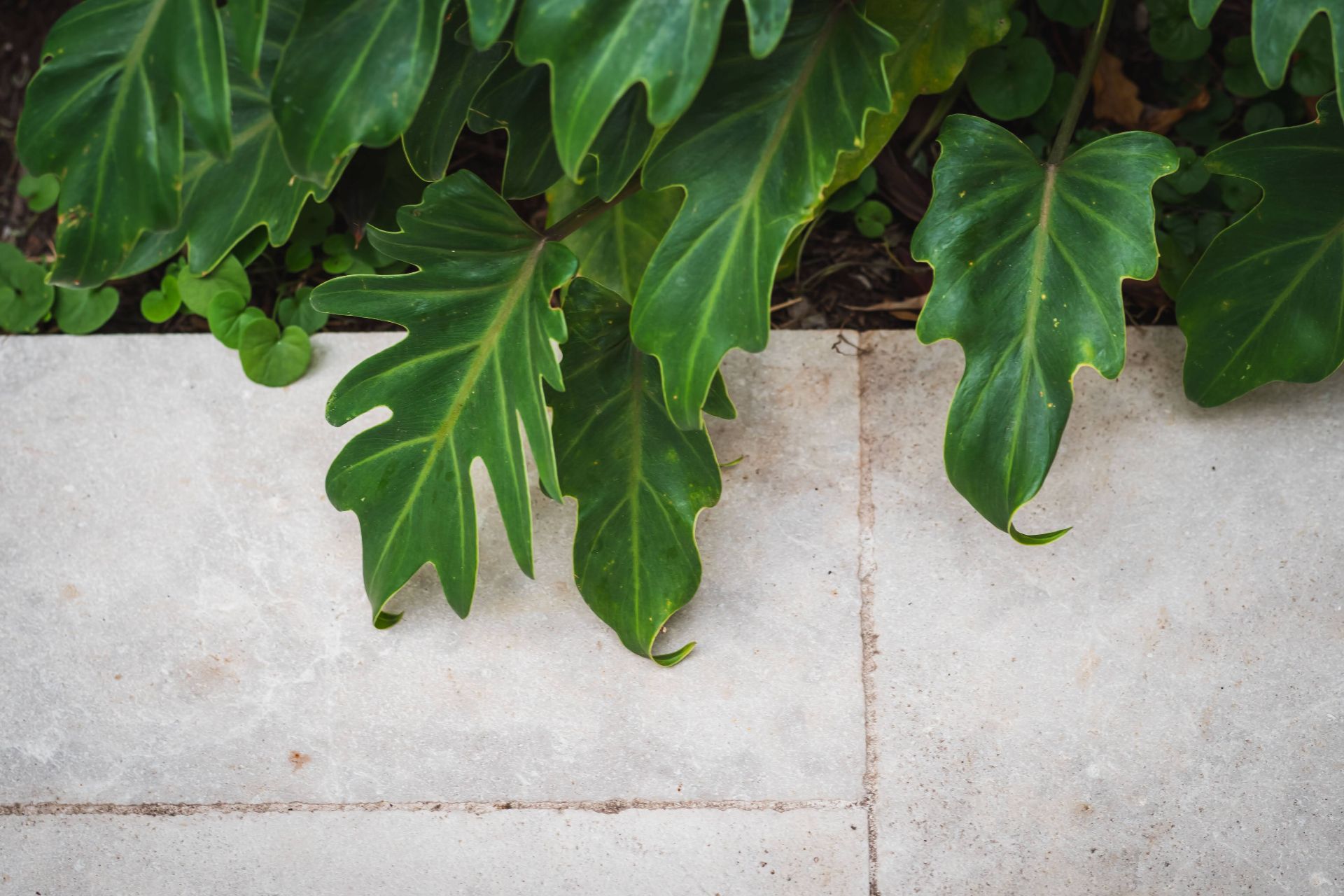 natural stone with plantings