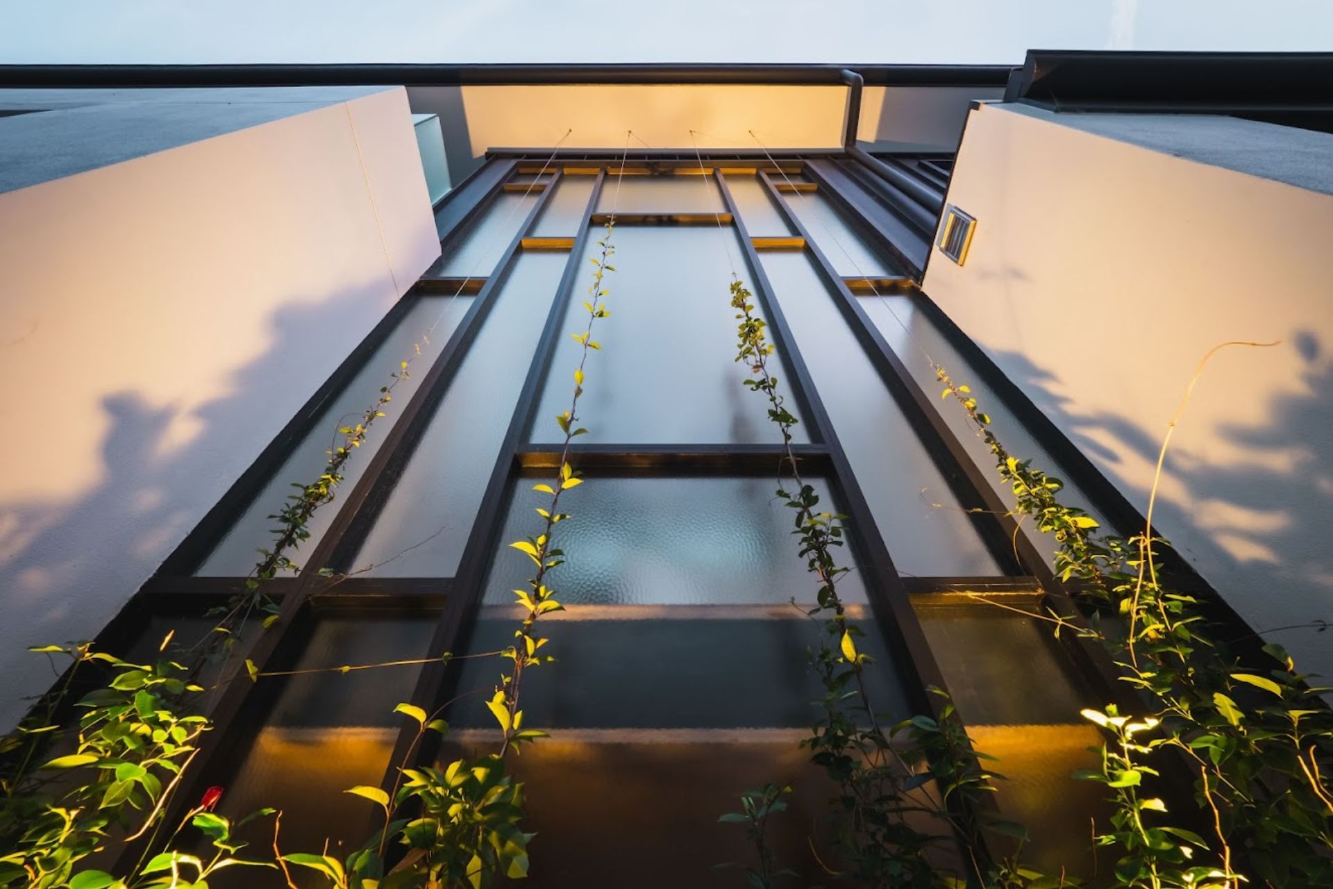 HANGING GARDEN