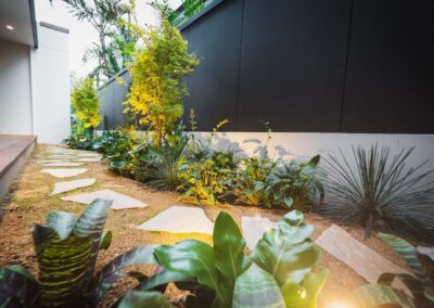 plantings light