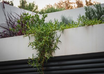 terraced plants