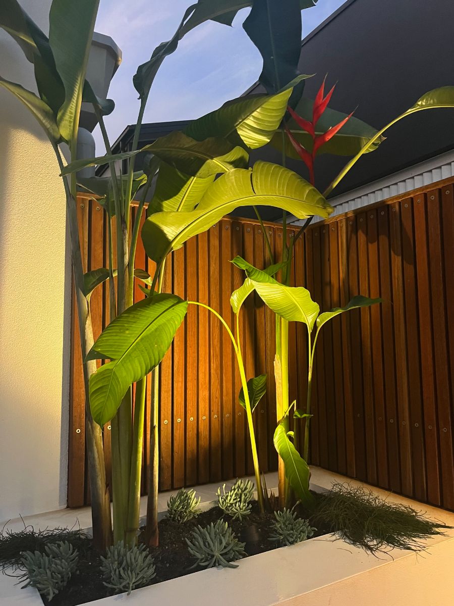 GARDEN LIGHTS