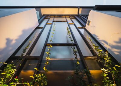 hanging garden